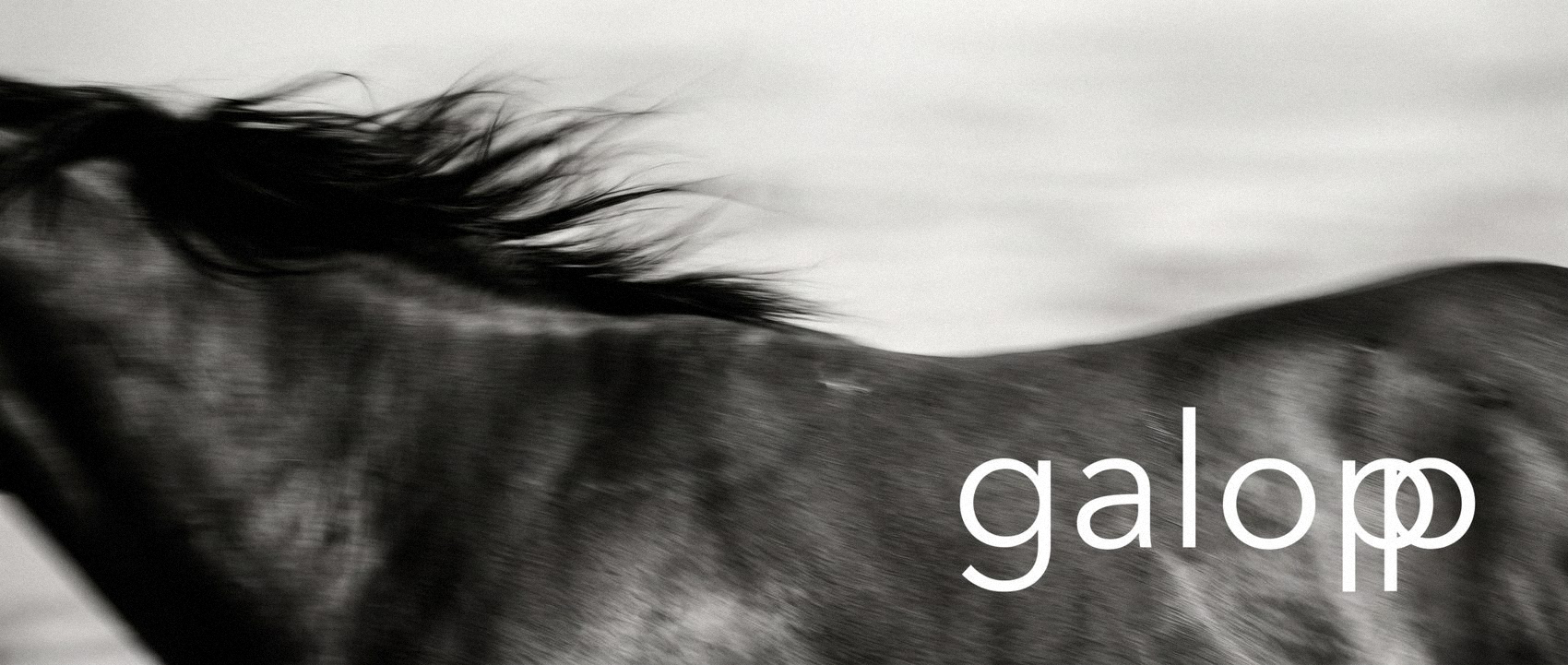 The Galopp wordmark over a black and white horse in motion