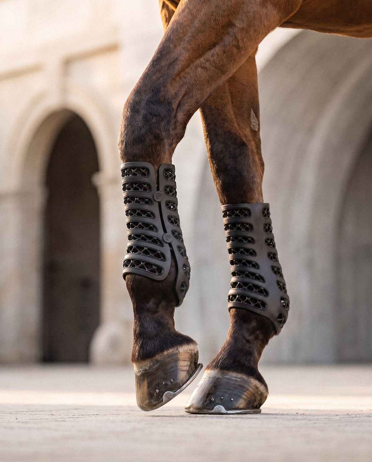 Galopp lattice boots worn on a horse's front legs