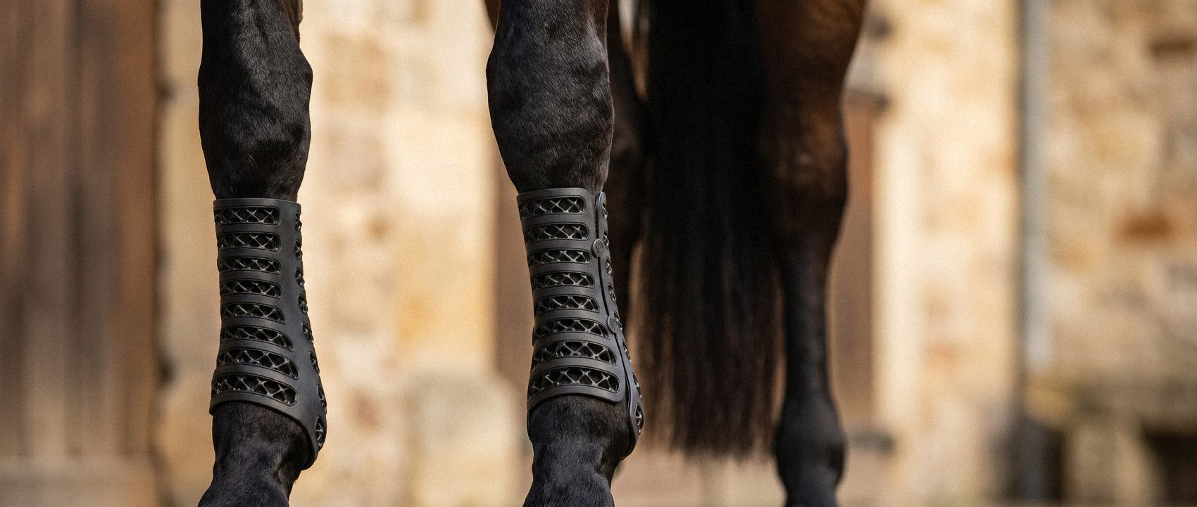 The finished boots on a standing horse, seen from behind