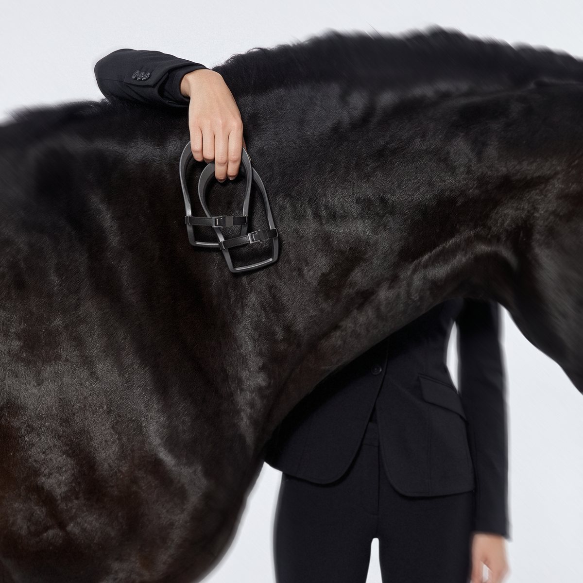Una mano sostiene dos VeroSpur contra el hombro de un caballo negro