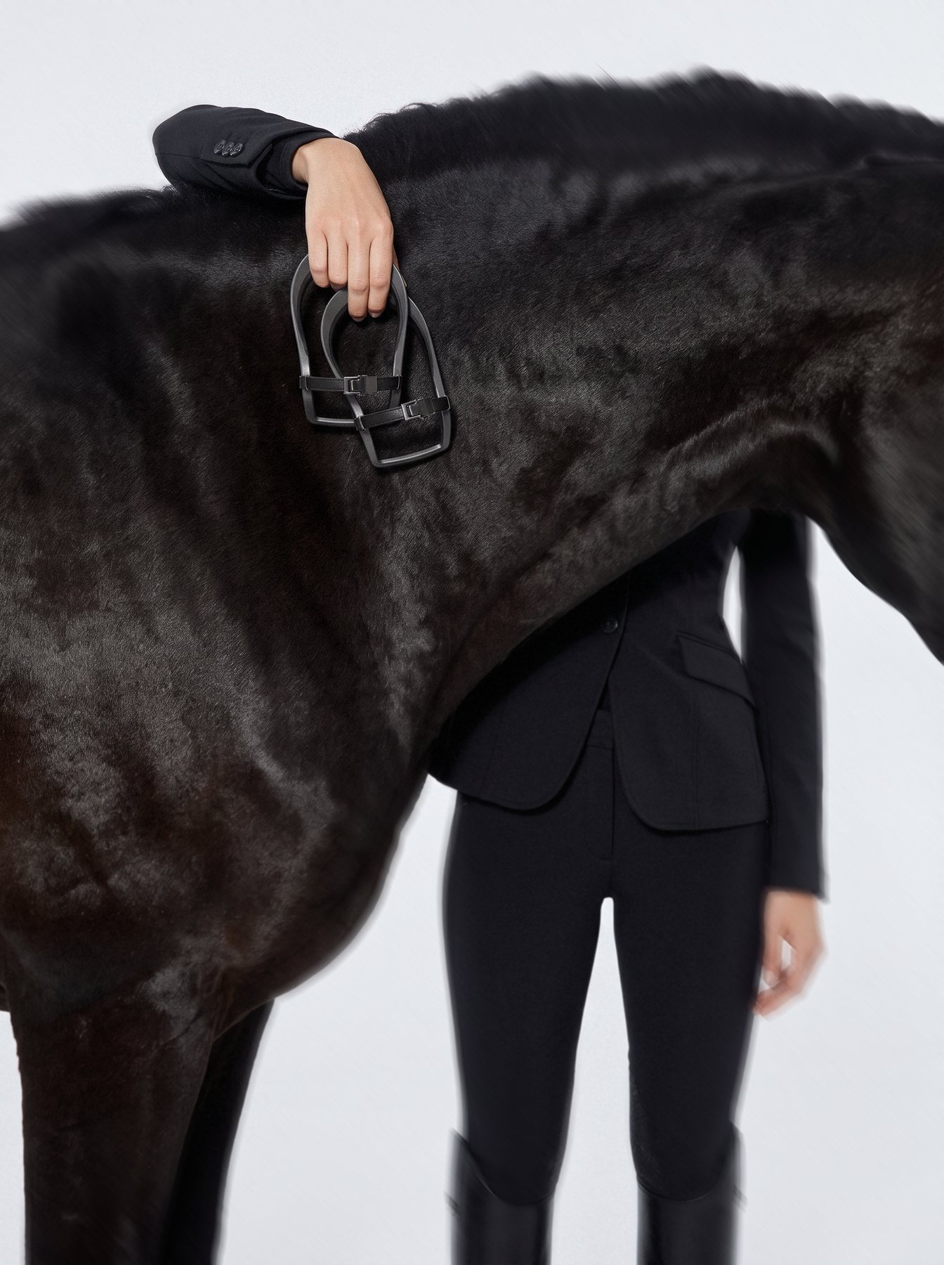 A rider in black holds a VeroSpur against the shoulder of a black horse